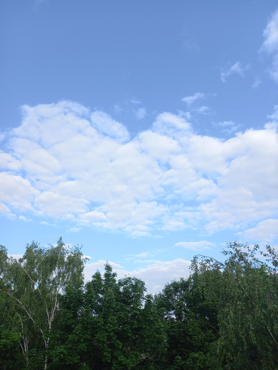 Фото автора. Даже Вяземское небо Вам передаёт сердечный привет!!! Сколько нашли❤?