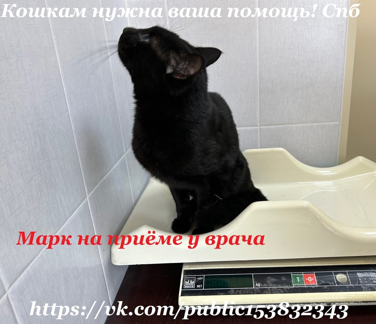 Хорошо сидим!