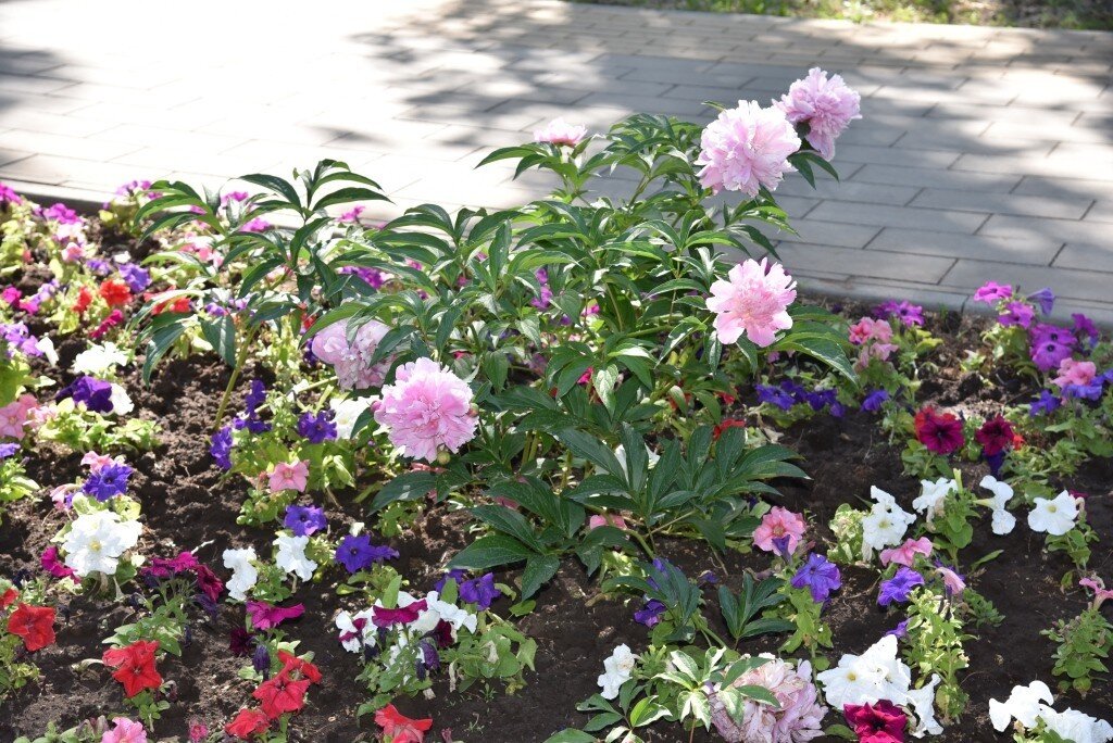    ???????????????????????????????????? admin