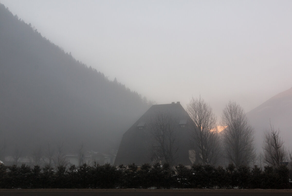 https://ru.freepik.com/free-photo/silhouette-of-bare-trees-during-sunrise_7899024.htm