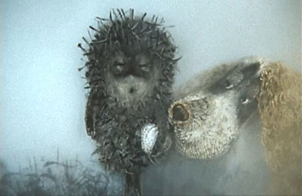 Но тут из тумана появилась Собака. Она положила перед Ёжиком узелок, зевнула во всю собачью пасть и пропала в тумане.