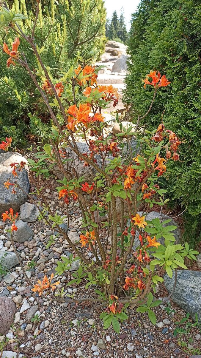 Листайте галерею