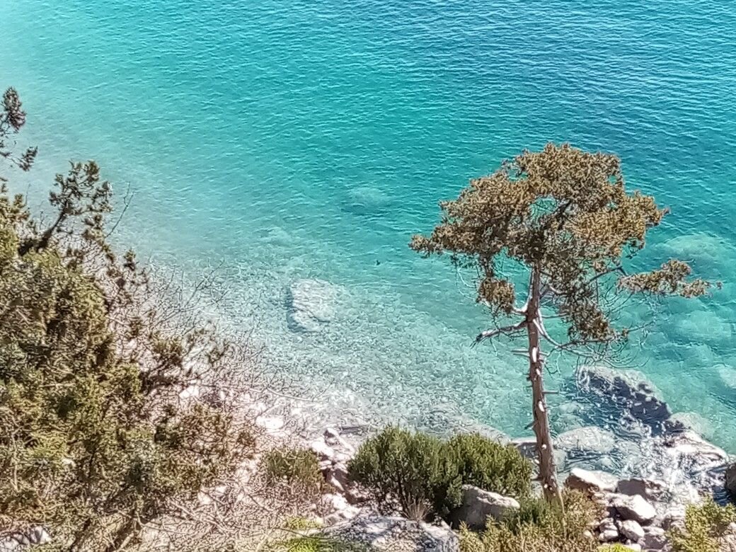 Вид на море с подножья горы Кошки, Симеиз