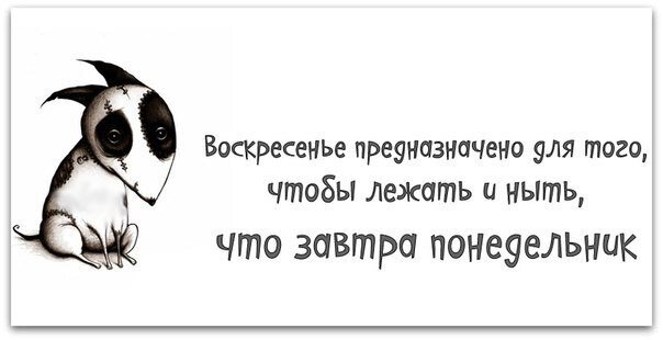 Изображение взято из сети Интернет 