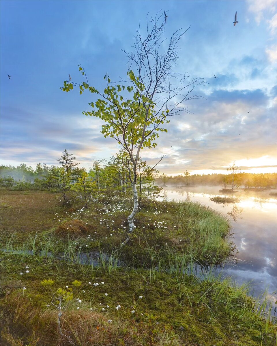 Петра на рассвете