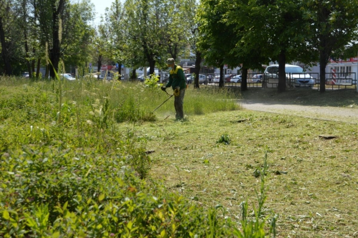    В Твери был проведен покос травы на площади более 47 тысяч кв. метров