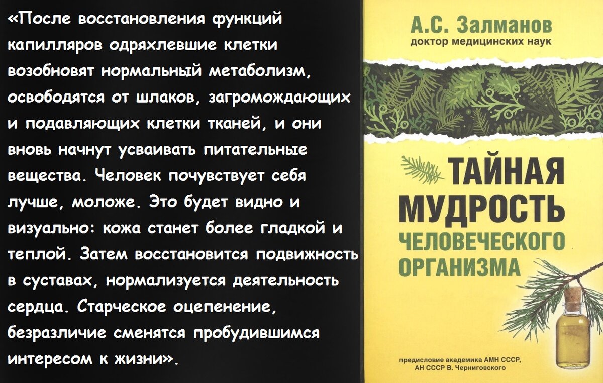 В основе процесса старения и всех заболеваний лежит состояние капилляров».  Ученый Александр Залманов о том, как улучшить работу капилляров | Просто  Жить | Дзен