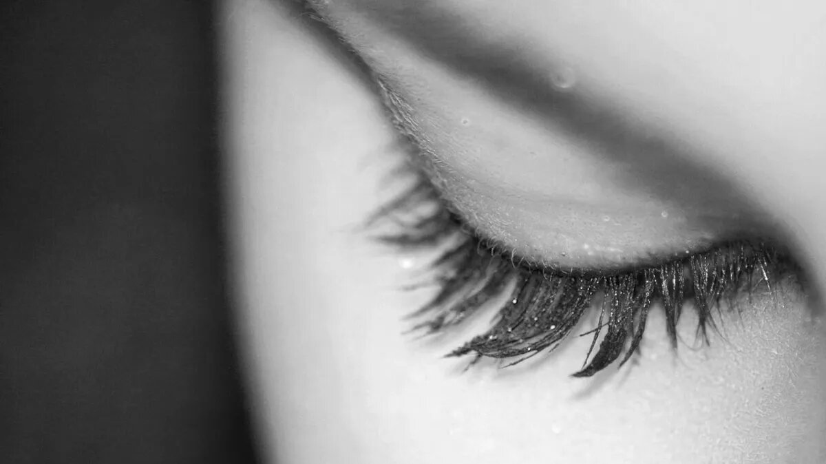 Фото: pxhere.com