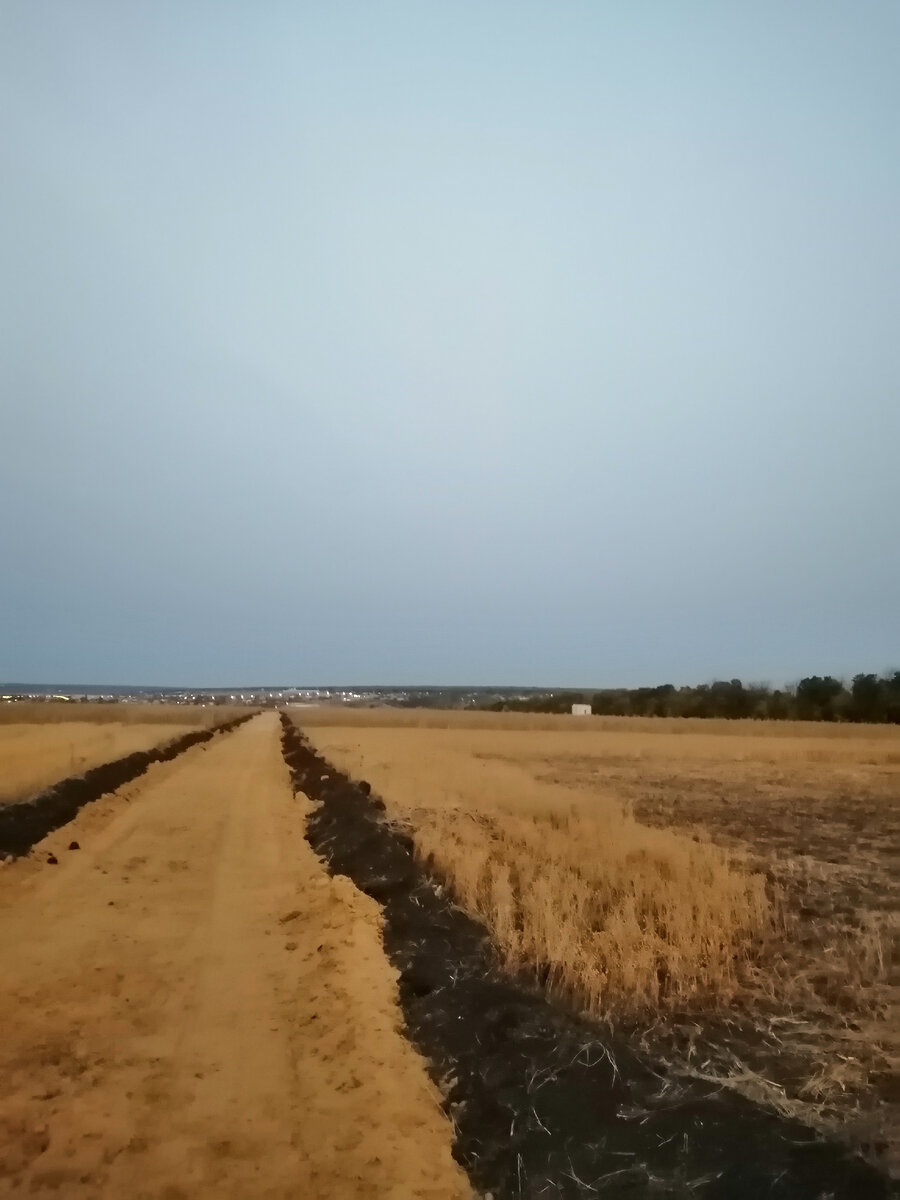 Тот самый первый участок, поле и поле... 