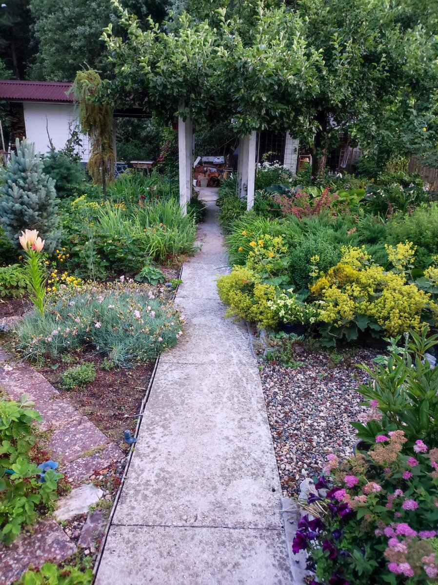 много разных дорожек