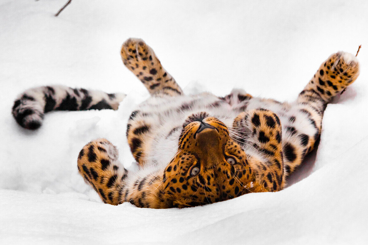 Michael Semenov/500px/Getty Images