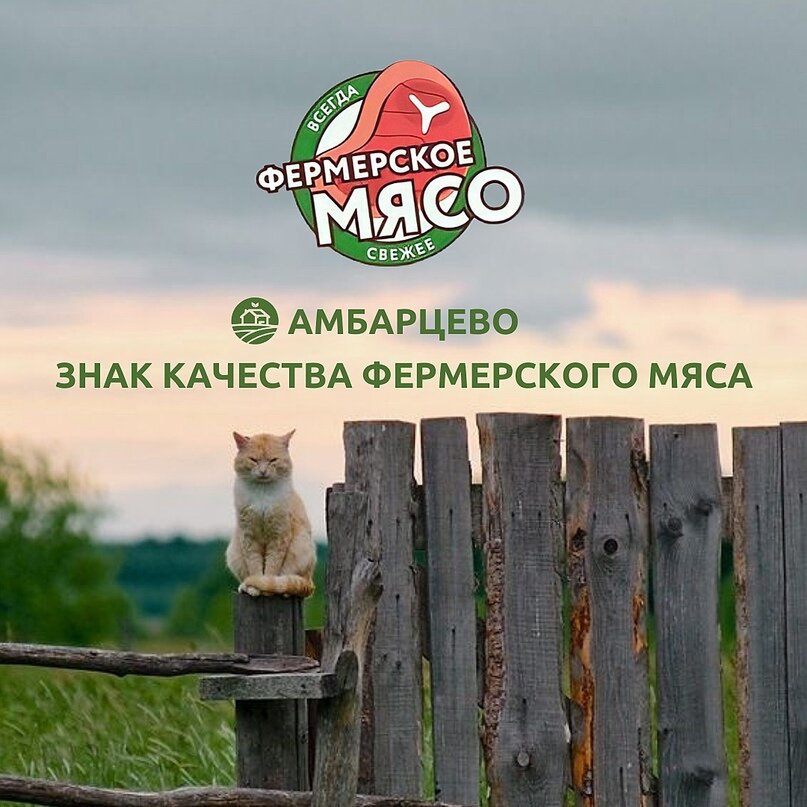 Мы — команда «Фермерского мяса», которая выросла в деревне и непонаслышке знает, что такое натуральные фермерские продукты! Мы пили парное молоко, знаем вкус деревенского мяса и запах свежескошенной травы. 
Мы знаем, как прекрасна русская деревня и как щедра наша природа. Как положительно влияет на наше здоровье и на здоровье наших детей правильное питание, основанное на натуральных продуктах.
Поэтому всю нашу любовь к крестьянскому труду мы вложили в свою продукцию — «Фермерское мясо». И этой любовью мы хотим делиться с вами💚

Мы начинали с небольших продаж мяса своим близким и знакомым, отдавая лучшее и стараясь как для себя. Постепенно спрос увеличивался и появился формат мясного набора, но принцип работы «как для себя» остался и остается до сих пор! Для нас это не просто бизнес, но и возможность сделать жизнь лучше, поделиться натуральными свежими продуктами с огромным количеством городских семей, у которых нет возможности держать свое хозяйство.

«Амбарцево» — знак качества фермерского мяса, гарантия наших ценностей, гарантия того, ради чего мы работаем 💚
