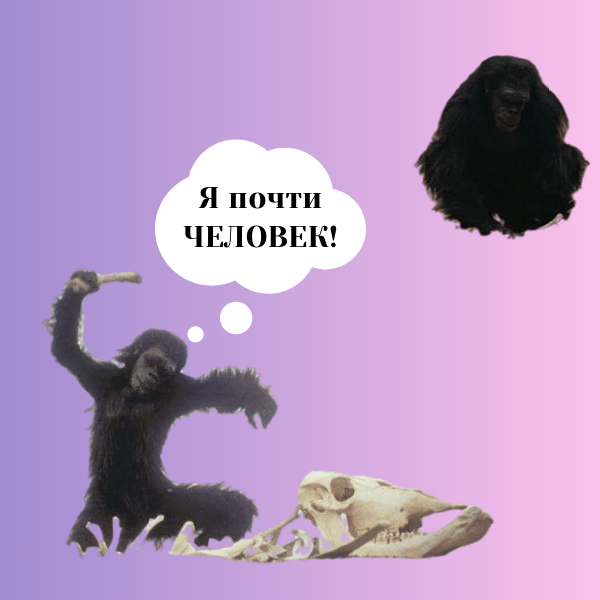 Изображение автора