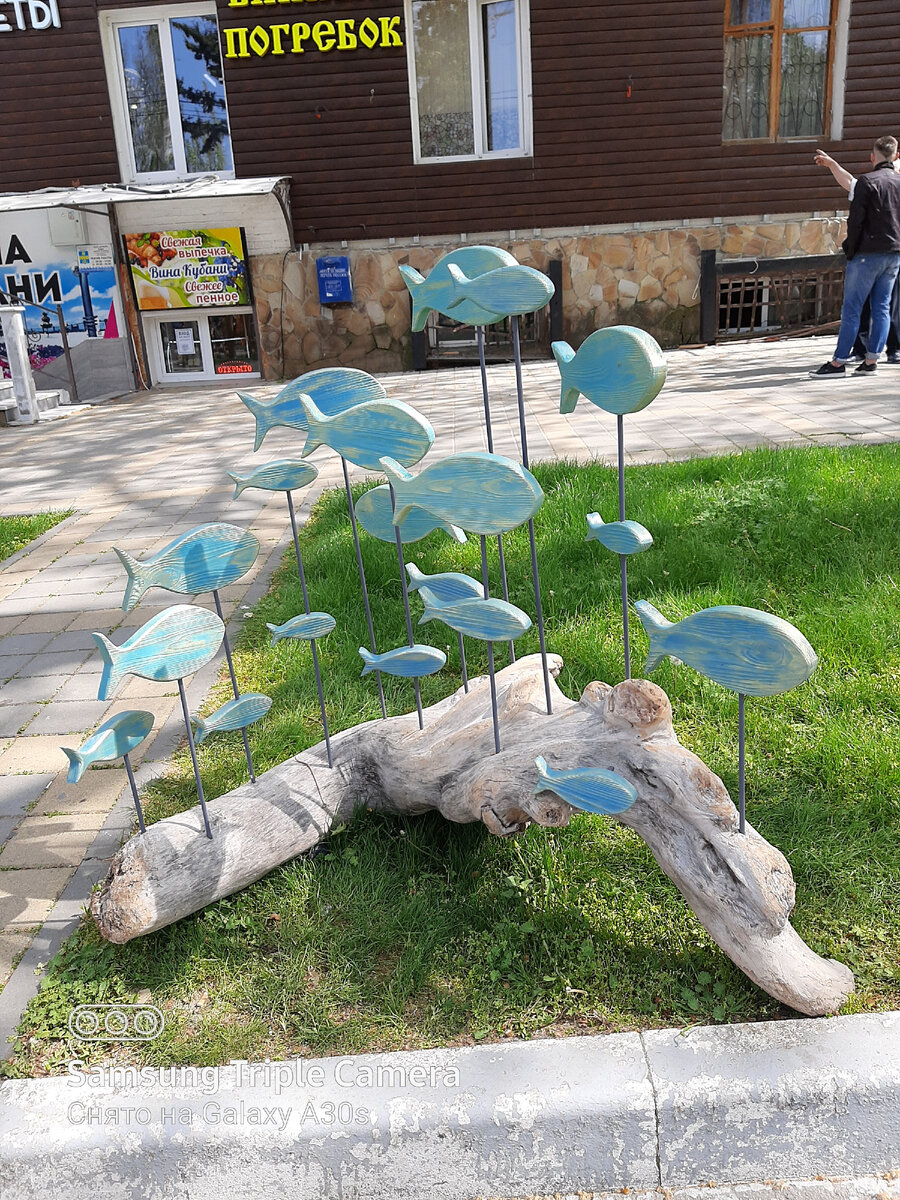 И плывём мы по течению жизни вот так, как рыбки..., поглядывая друг на друга, и держась друг друга