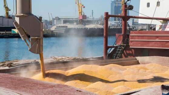    Венгрия выступила за расширение "зерновой сделки" для Украины Анна Белая