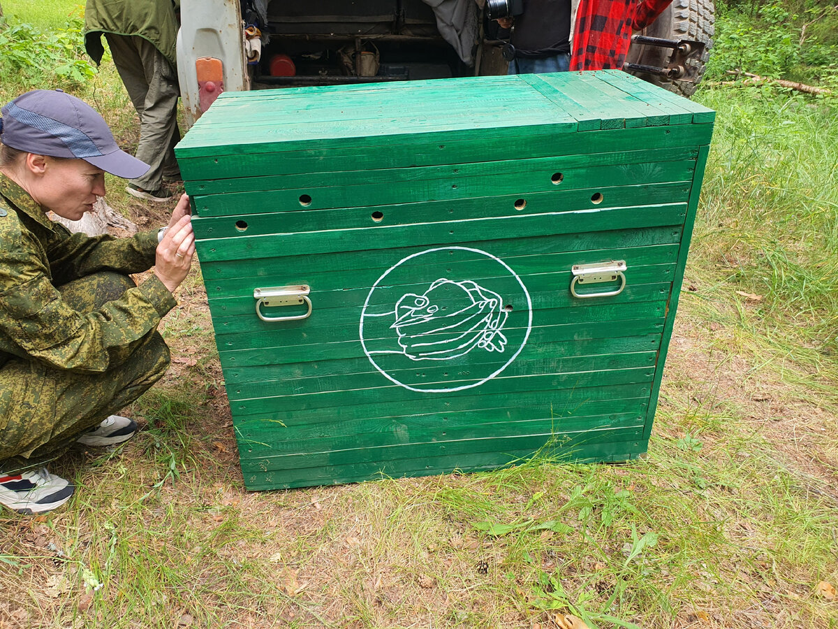 Вот в таком специальном транспортировочном ящике Злата прибыла к месту выпуска.