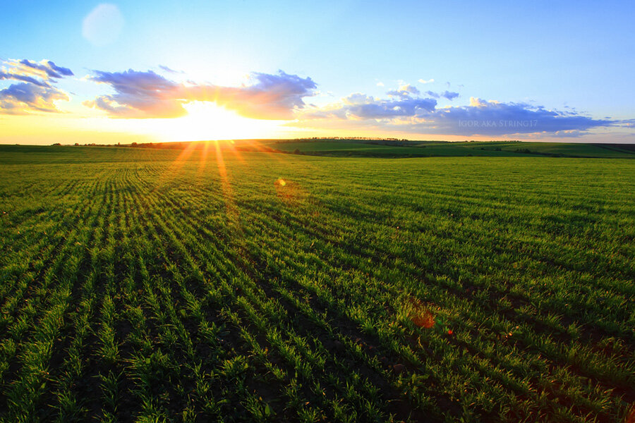 Изображение взято в сети интернет