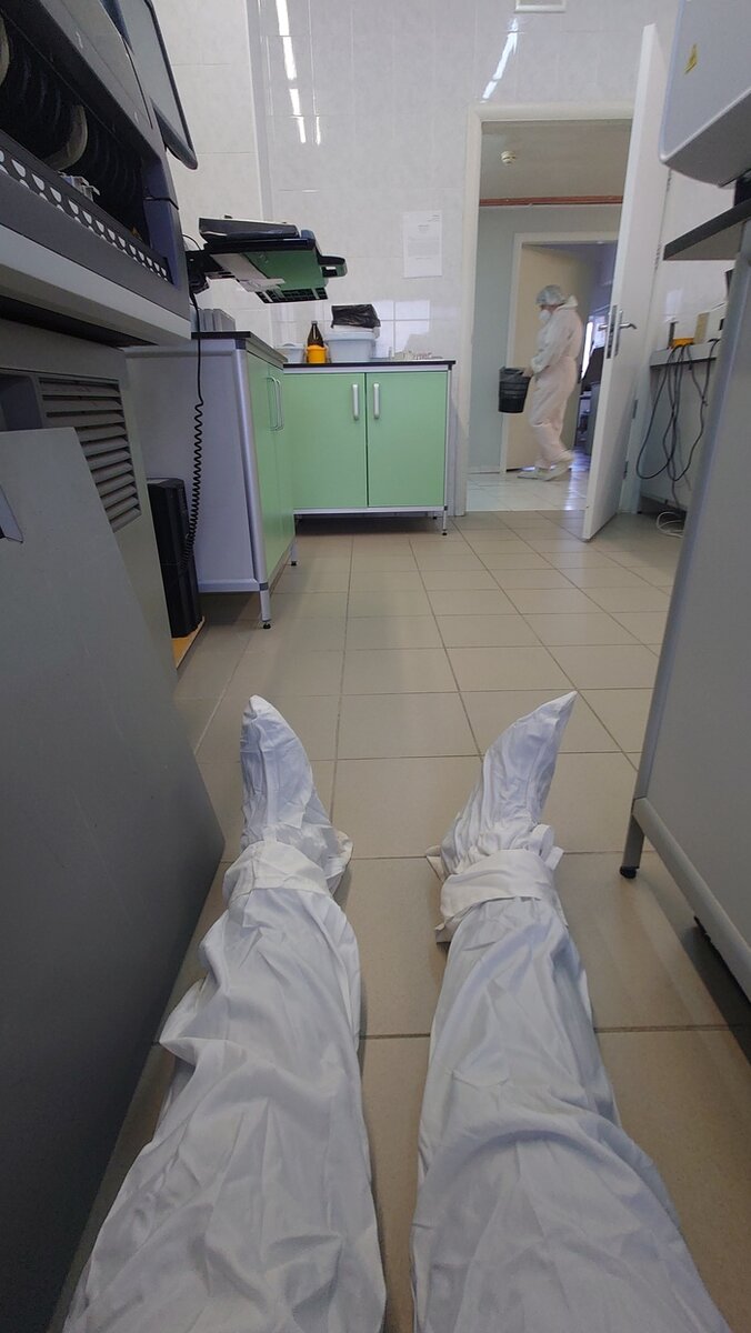 Листайте вправо, чтобы увидеть больше изображений