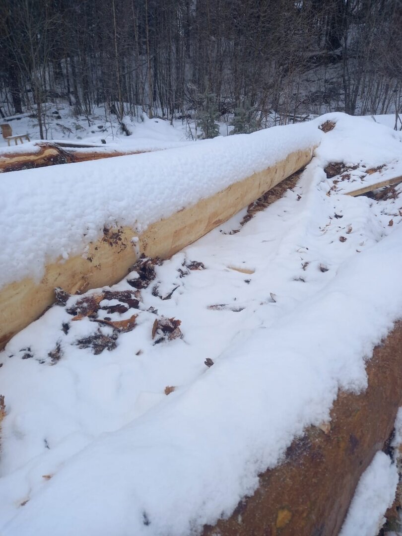 Наши бревна