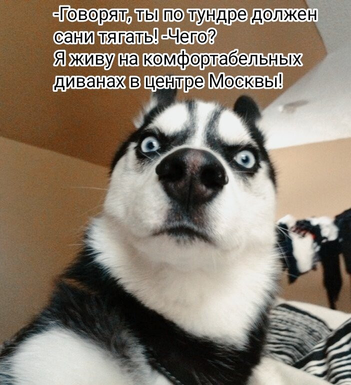 Фото из интернета в обработке автора. 