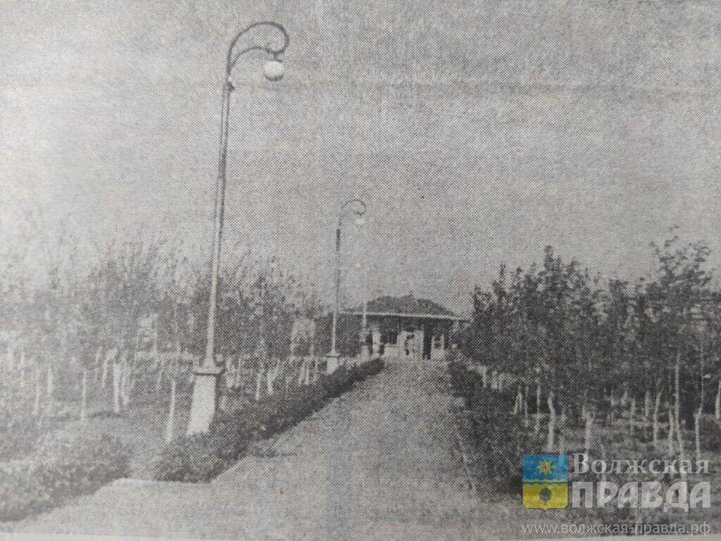 Для нового парка деревья брали прямо из котлована ГЭС📷    Деревья для парка «Гидростроитель» брали с места будущего котлована Волжской ГЭС
