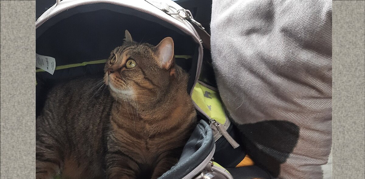 Че-то мы долго едем, а вы много болтаете.