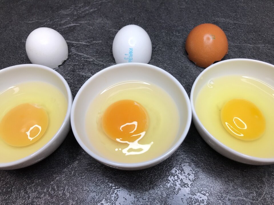 Пить домашние яйца. Людские яйца на тарелке. Мужицкие яйца на тарелке. Фото 4 яйца на тарелке белой. Яйца на тарелке дали.