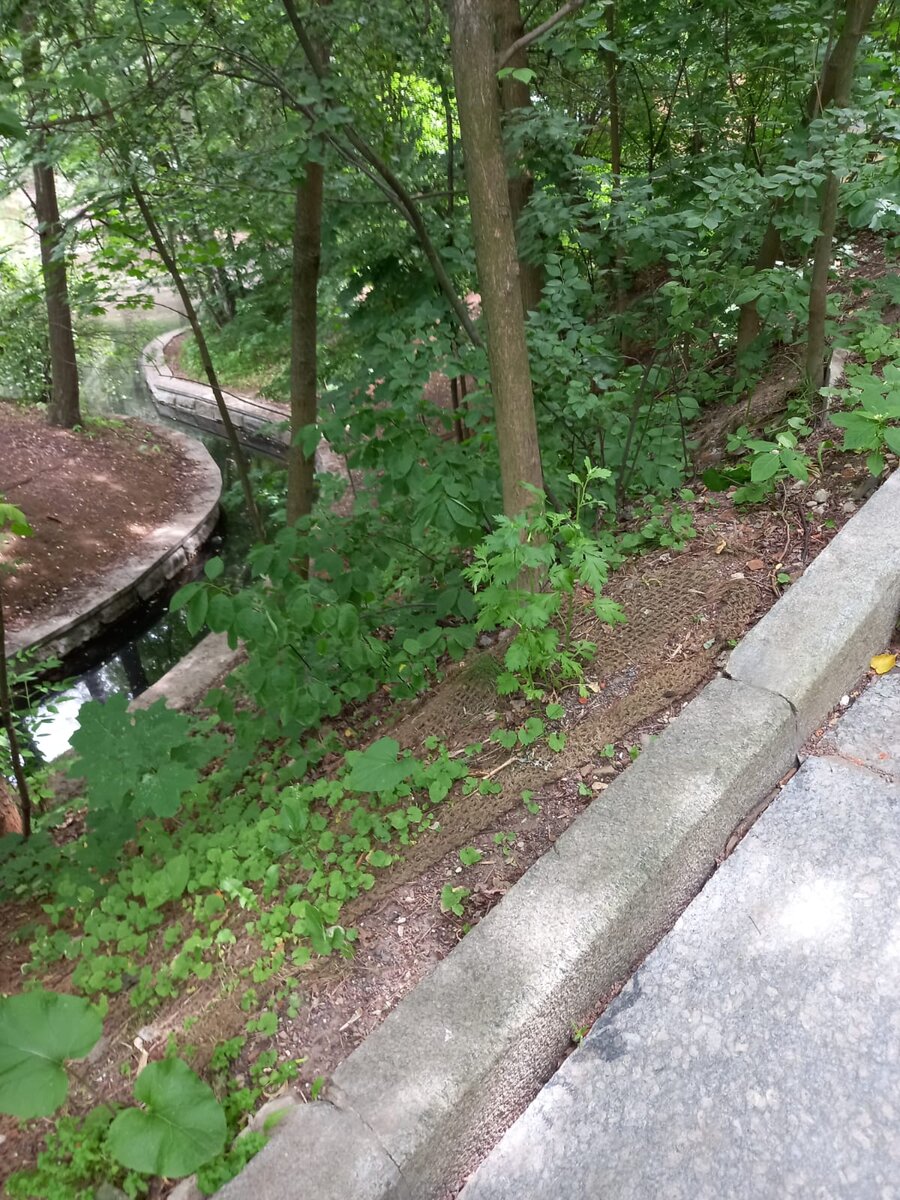 Фото автора.