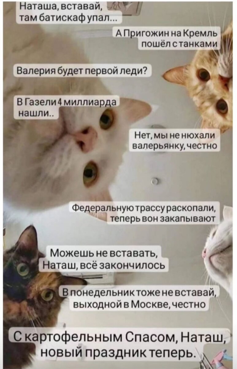 Фото с общедоступных источников в интернете 