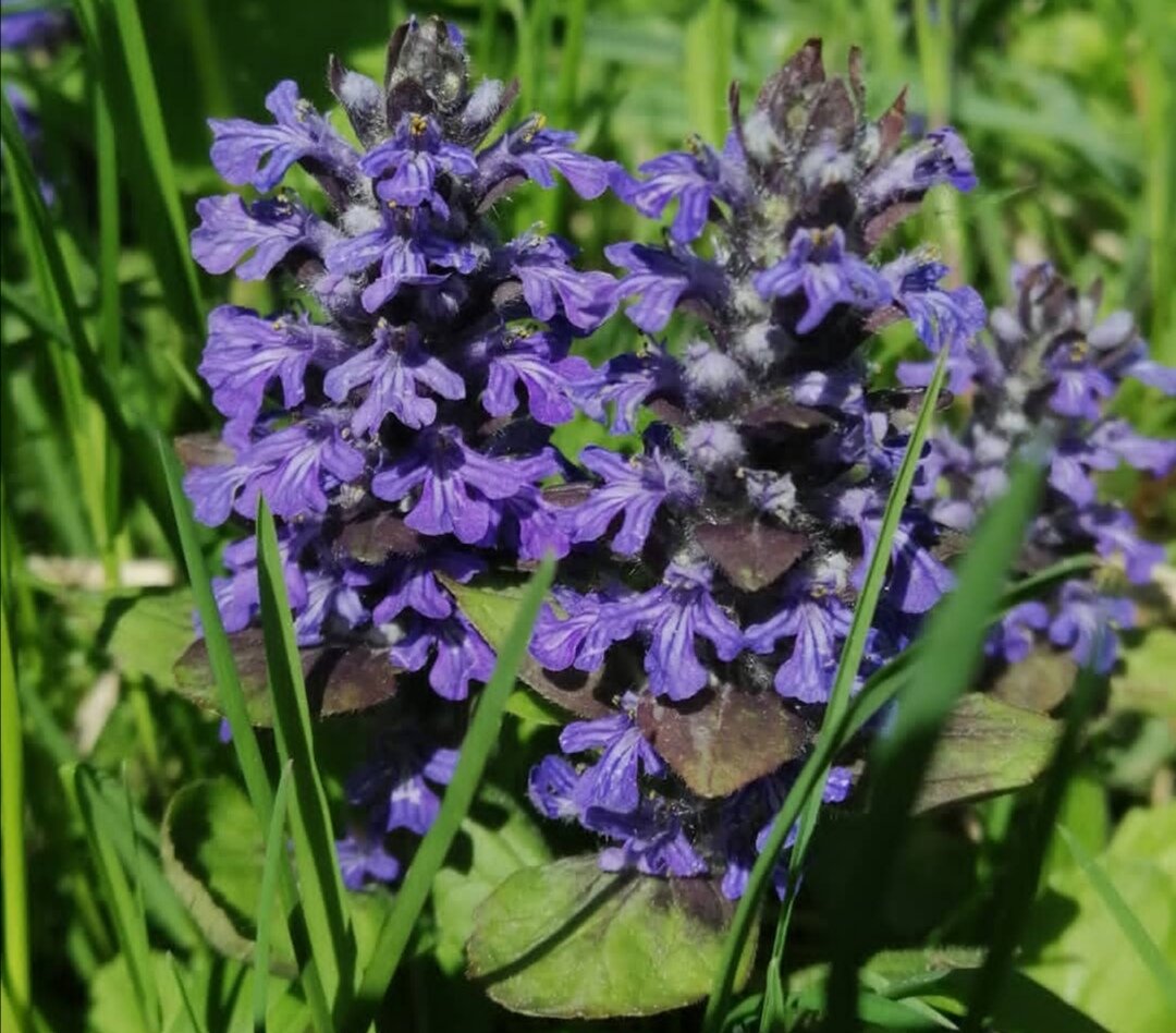 фото из личного архива 