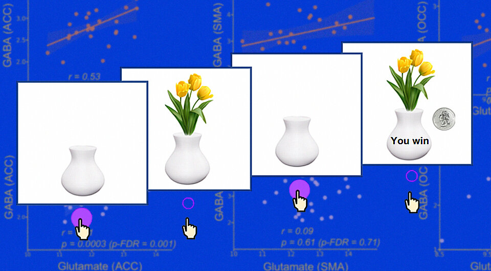   Коллаж N + 1. Источник: Marjan Biria et al. / Nature Communications, 2023