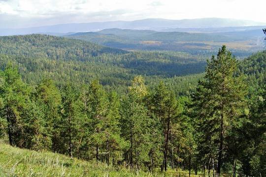    Найденный в тайге мальчик воспитывается в многодетной семье