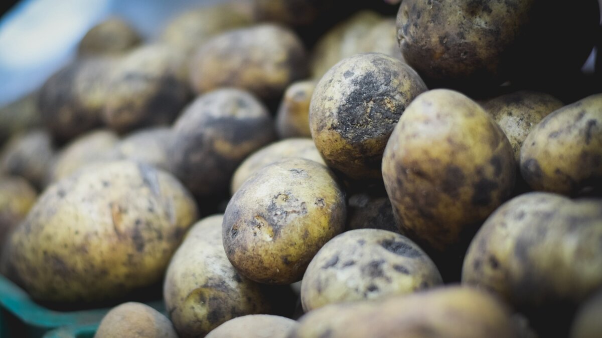     Необычный вкус популярной марки чипсов пока не доступен на полках магазинов, но мы раскошелились и поделимся впечатлениями 29 июня.