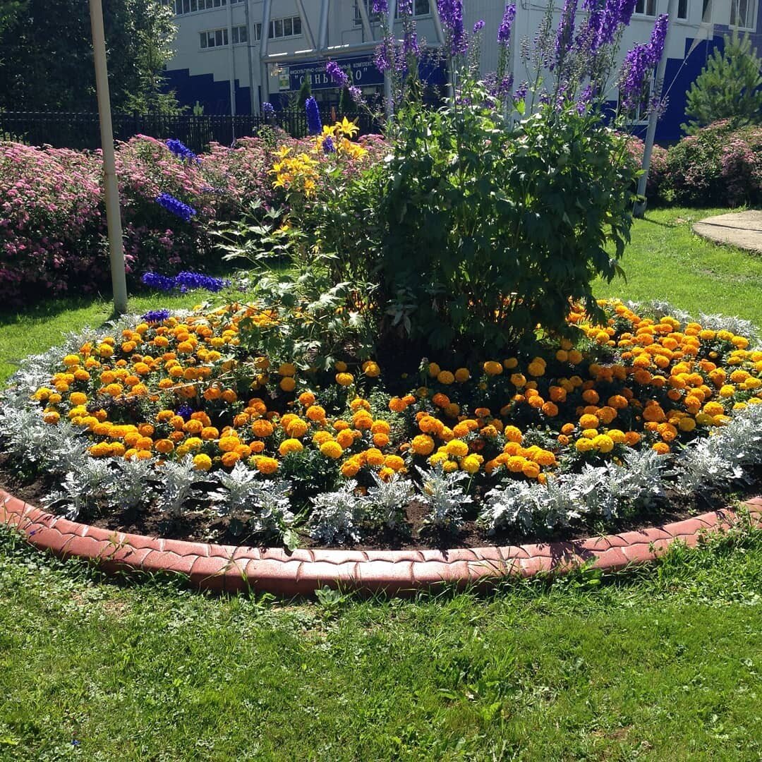 Круглая клумба с цветами