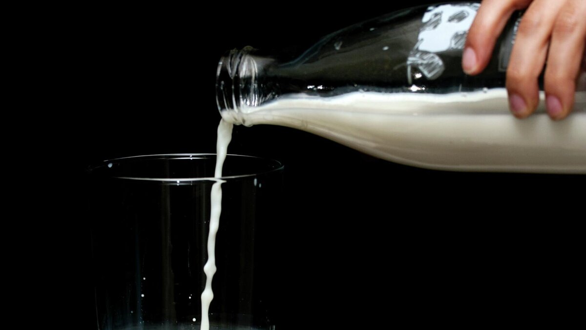    Молоко© Фото : engin akyurt