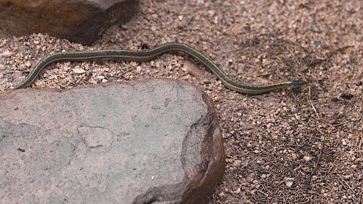     Женщину экстренно отправили на лечение в Петрозаводск, сообщают местные СМИ.