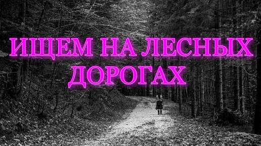 ИЩЕМ НА ЛЕСНЫХ ДОРОГАХ