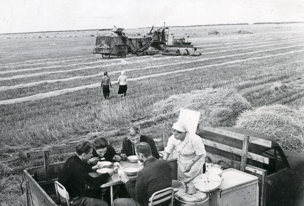 Целинные земли. Полевой стан целинников. 1954 Освоение целины. Освоение целины в СССР. Целинная эпопея Совхоз Кытмановский.