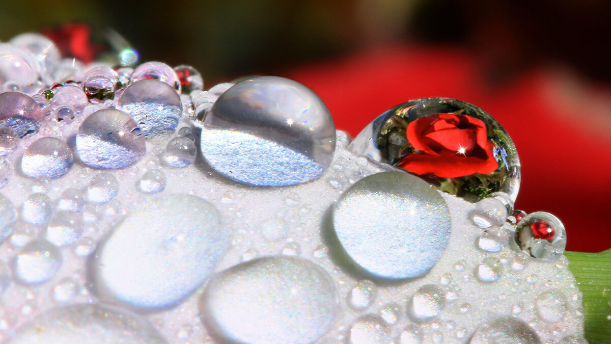 Photo by Gary Yost on Unsplash