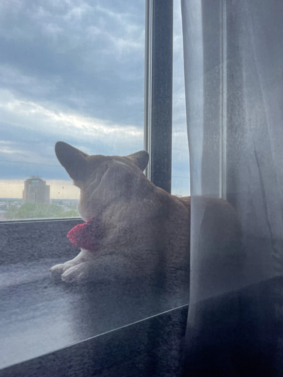 Вид из окна на город 🌆 