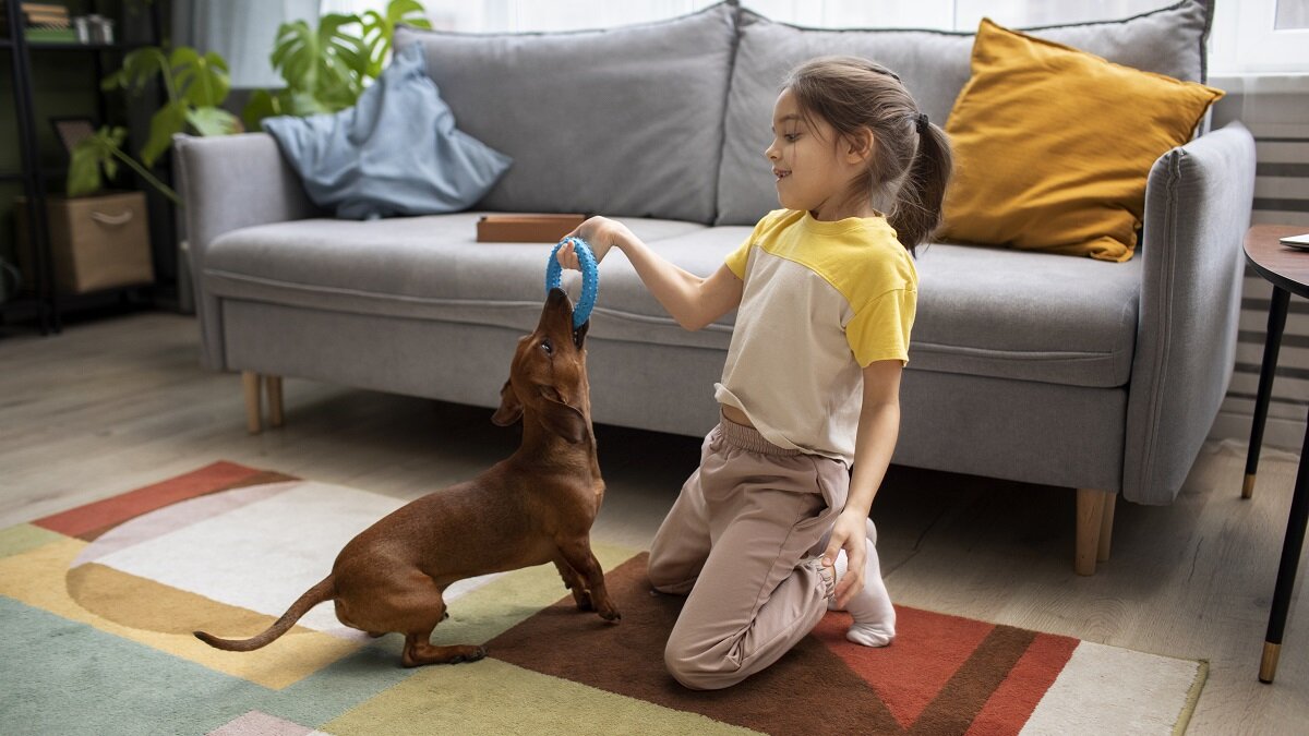    Ребенок играет с собакой