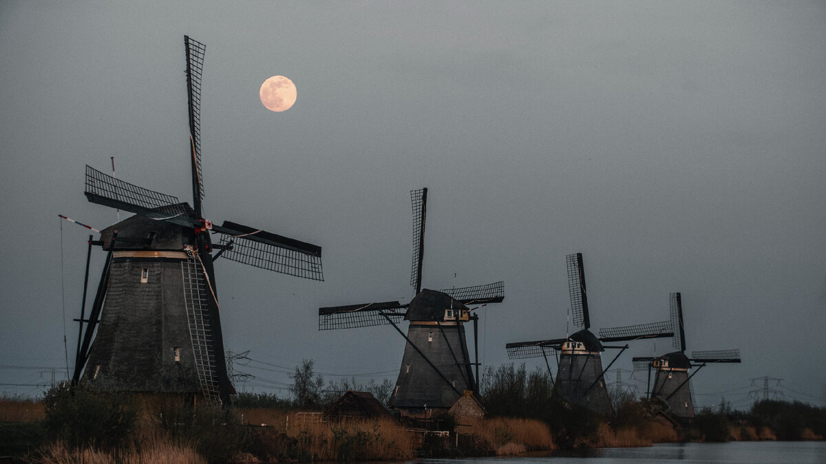 Photo by Kian Lem on Unsplash