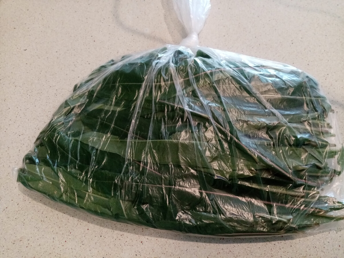 Листья в пакетах перед заморозкой