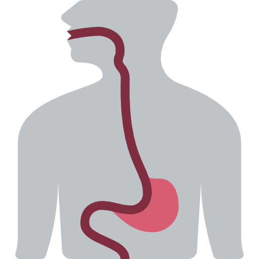 Онкология желудочно-кишечного тракта (ЖКТ) может быть связана как с органами и тканями, так и с железами данной области.-2