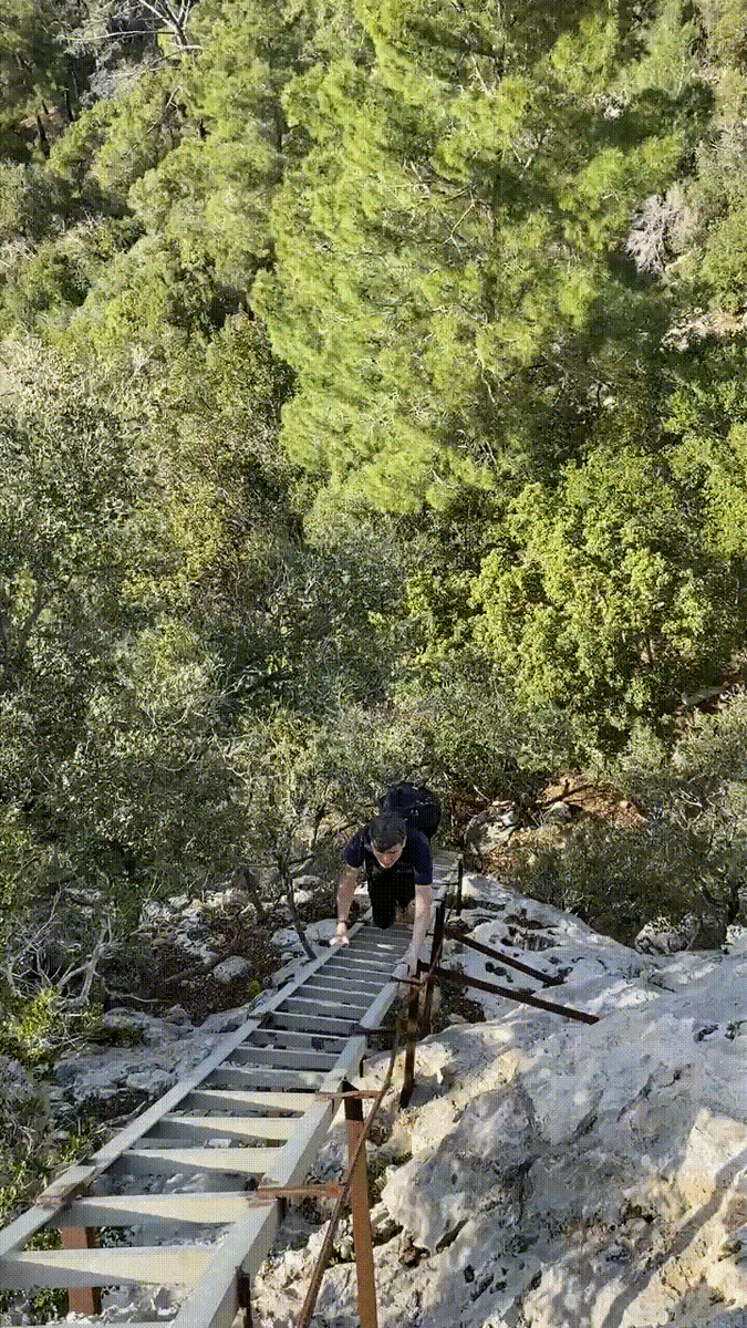 Наша награда – сверху открывается захватывающий панорамный вид на бархатно-зеленые кроны деревьев и лазурная бухта Кемера