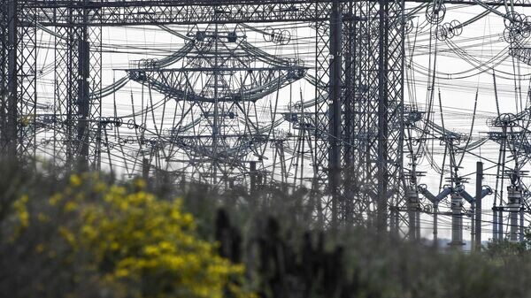    © РИА Новости . Константин Михальчевский