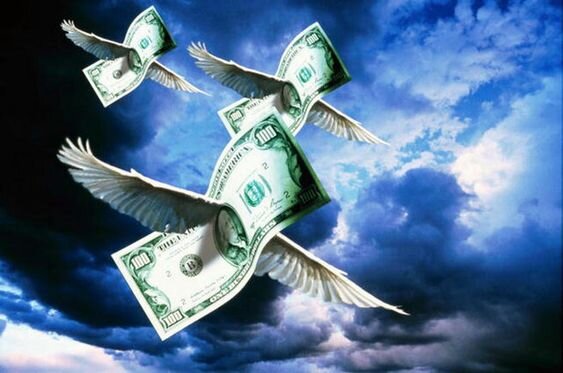 Фото с сайта Pexels.com