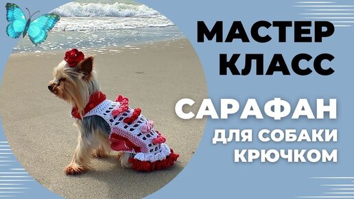 Мастер-класс по вязанию крючком собаки в формате PDF купить