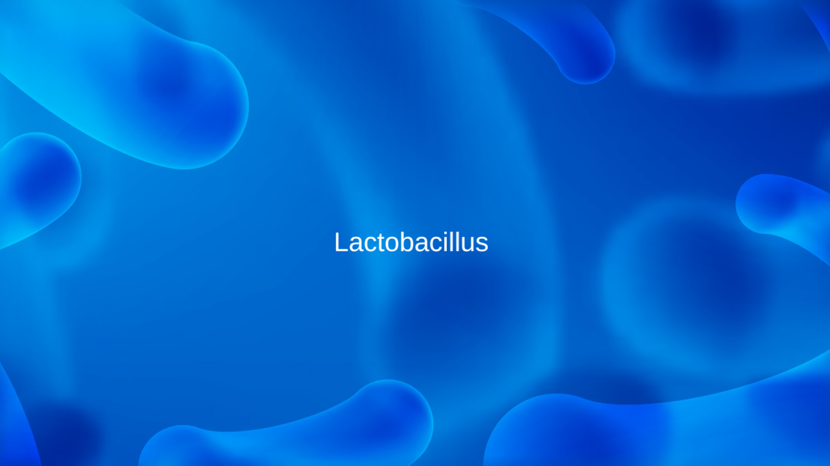 Как понять, что у вас «дырявый кишечник» | Гастроэнтеролог Садыков | Дзен