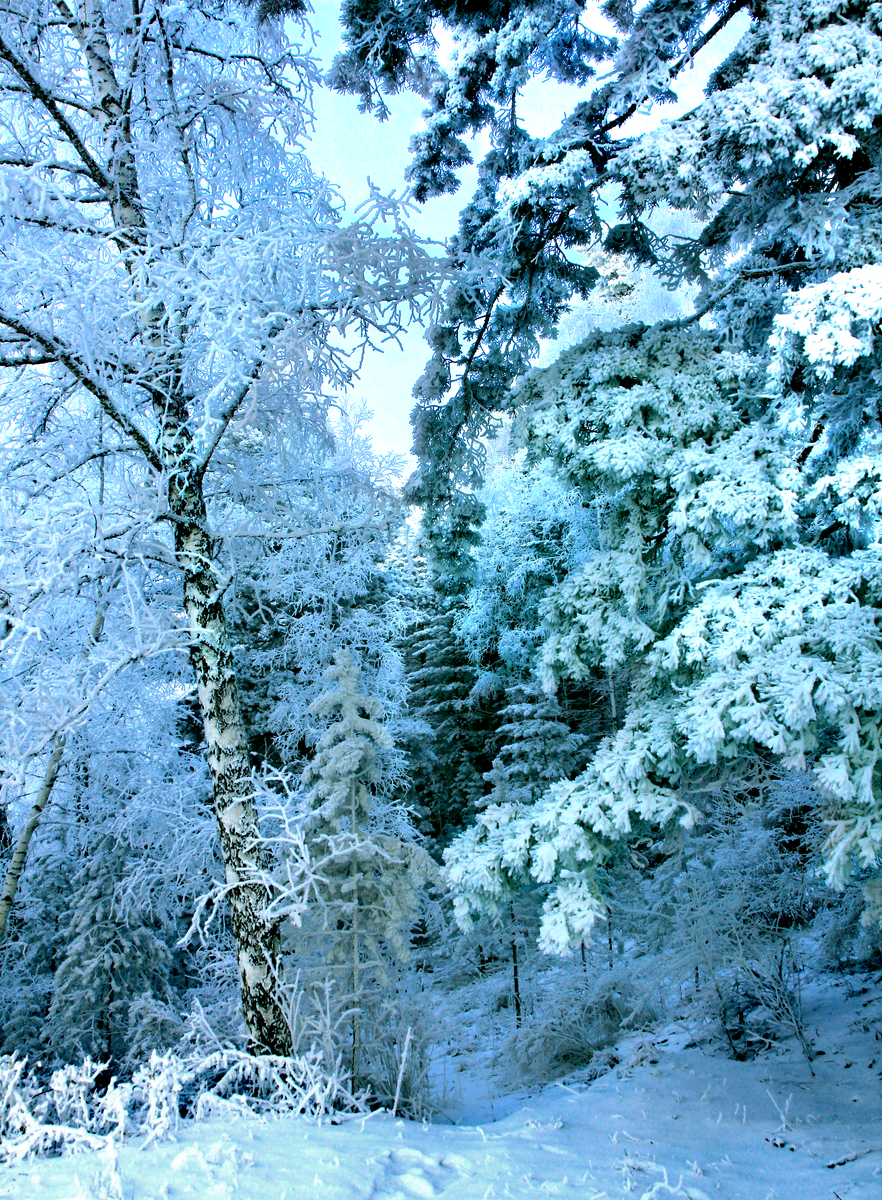 Фотография, стихотворение Василия Глуцкого
